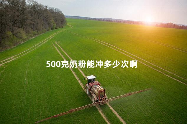 500克奶粉能冲多少次啊