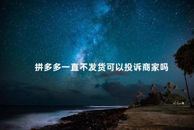 拼多多一直不发货可以投诉商家吗