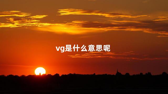 vg是什么意思呢