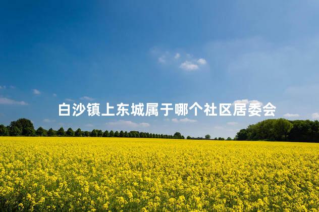 白沙镇上东城属于哪个社区居委会