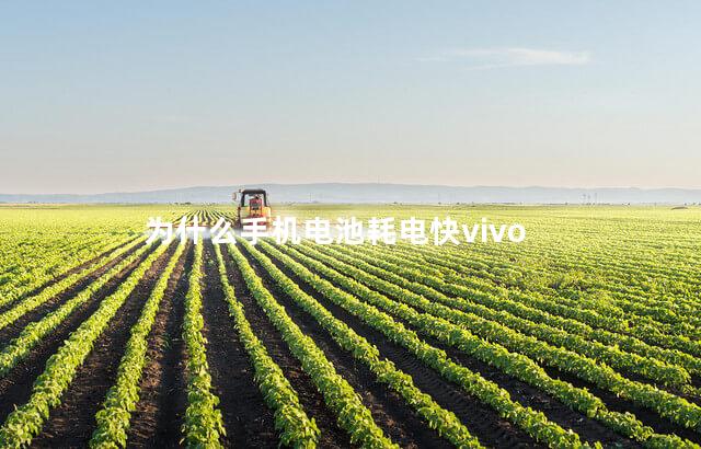 为什么手机电池耗电快vivo