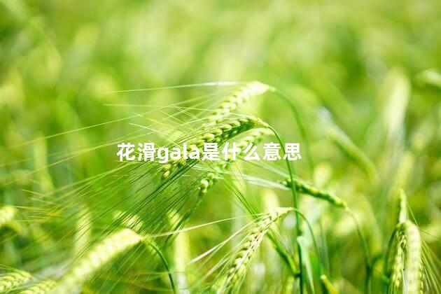 花滑gala是什么意思