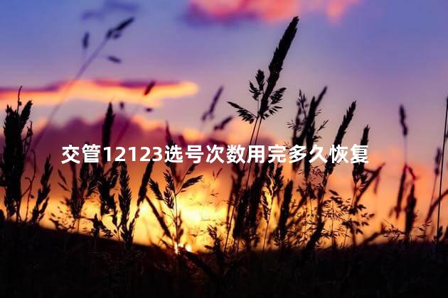 交管12123选号次数用完多久恢复