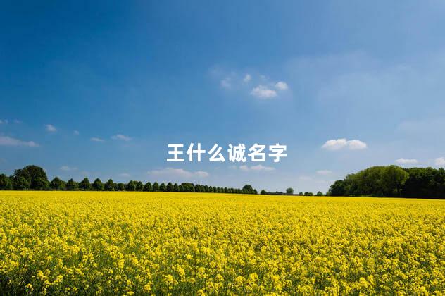 王什么诚名字