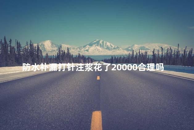 防水补漏打针注浆花了20000合理吗