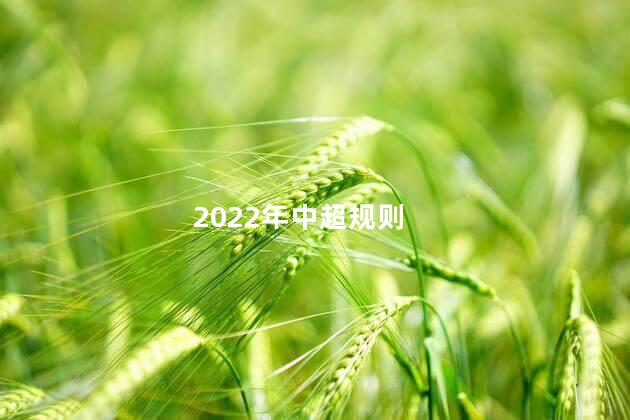 2022年中超规则