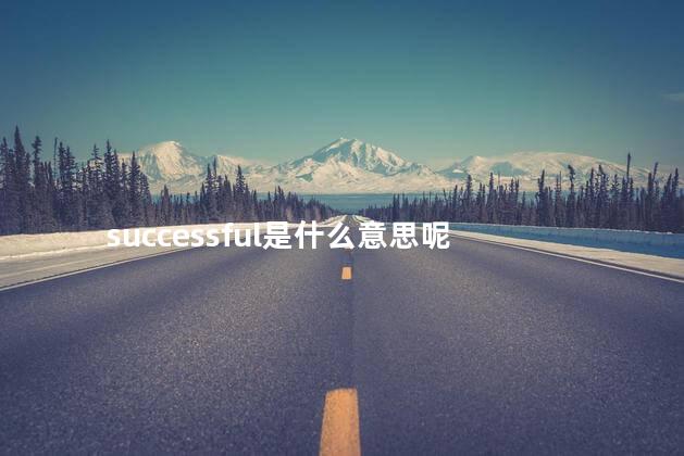 successful是什么意思呢