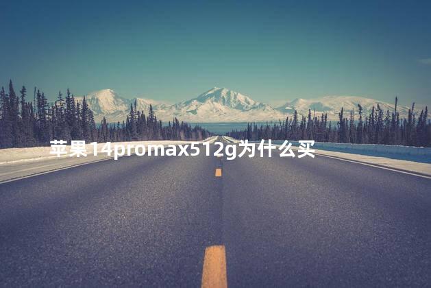 苹果14promax512g为什么买不到