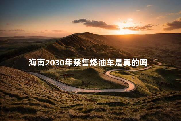 海南2030年禁售燃油车是真的吗