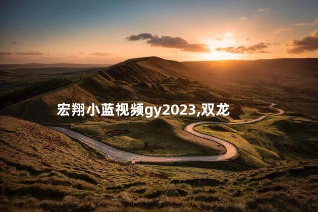 宏翔小蓝视频gy2023,双龙