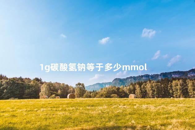 1g碳酸氢钠等于多少mmol