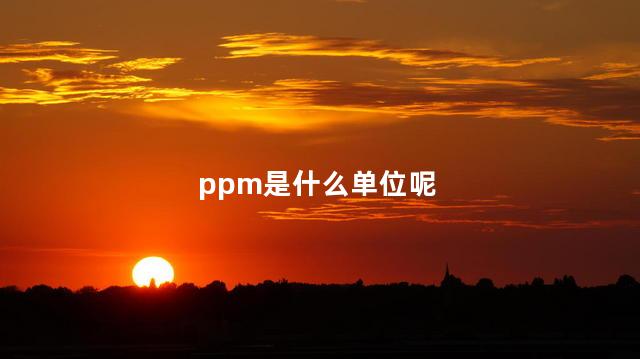 ppm是什么单位呢