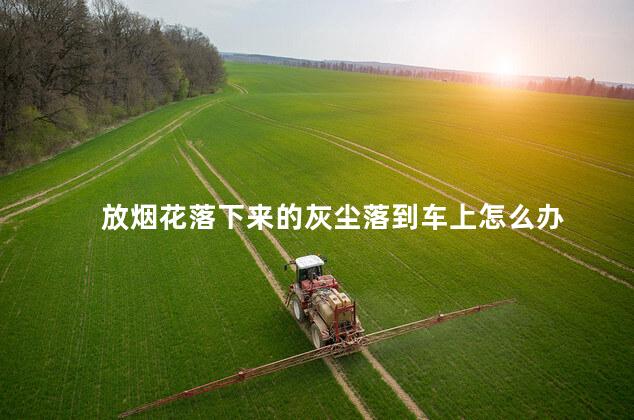 放烟花落下来的灰尘落到车上怎么办