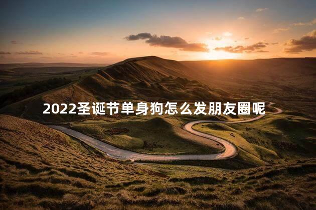 2022圣诞节单身狗怎么发朋友圈呢