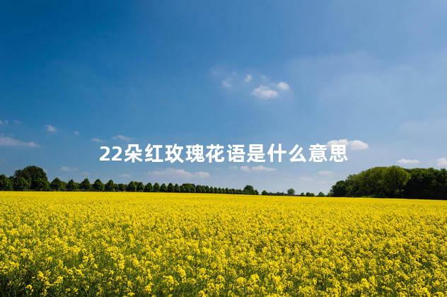 22朵红玫瑰花语是什么意思