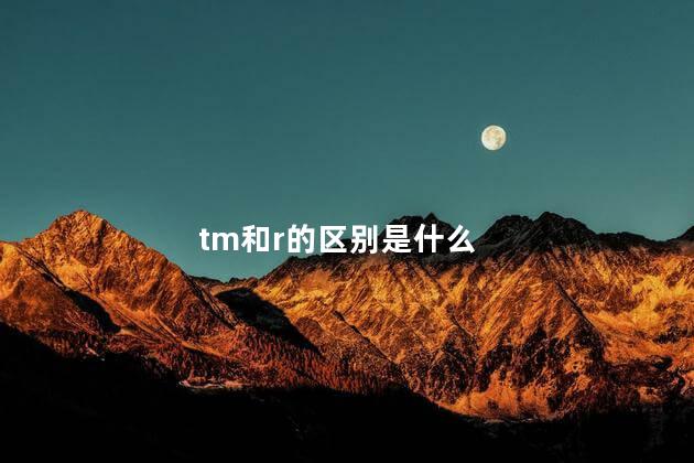 tm和r的区别是什么