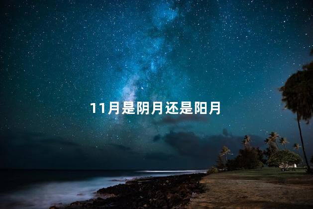 11月是阴月还是阳月