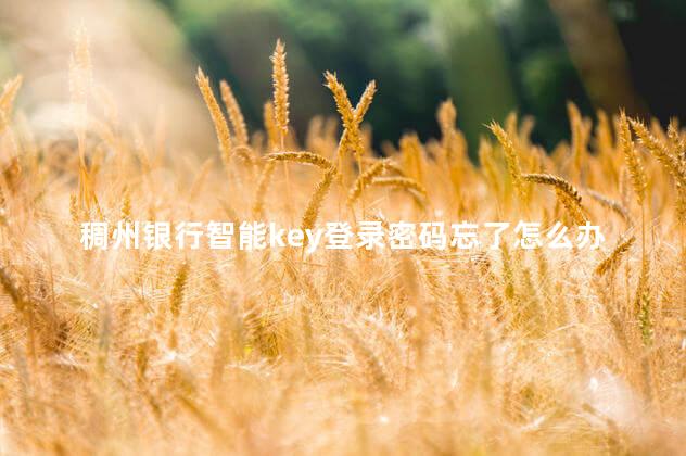 稠州银行智能key登录密码忘了怎么办