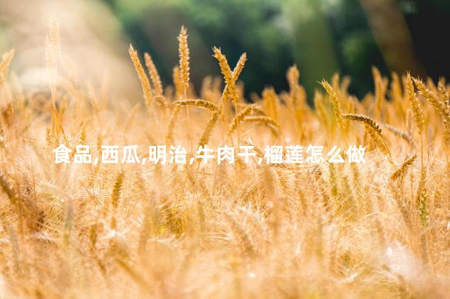 食品,西瓜,明治,牛肉干,榴莲怎么做