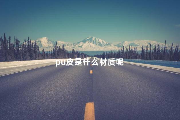 pu皮是什么材质呢