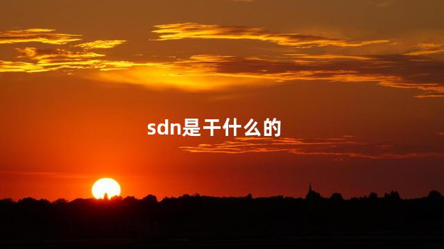 sdn是干什么的