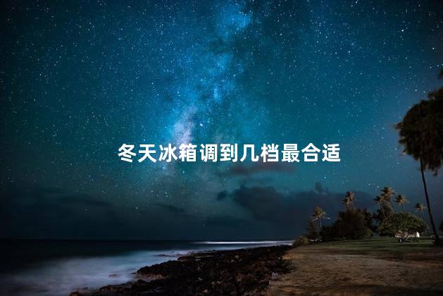 冬天冰箱调到几档最合适