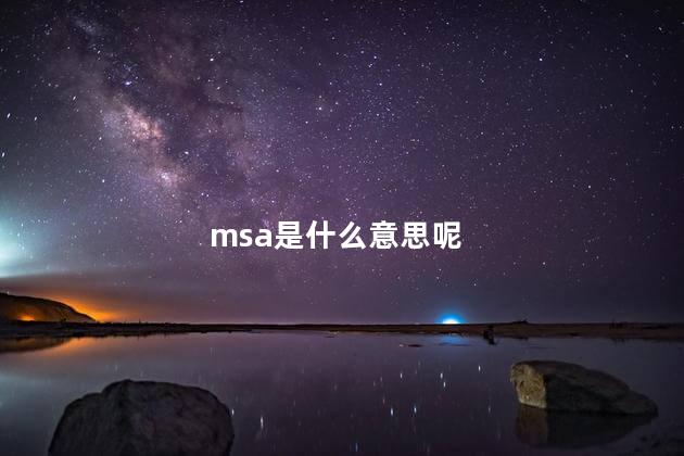 msa是什么意思呢