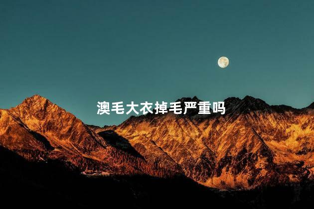 澳毛大衣掉毛严重吗