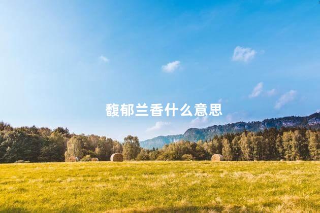 馥郁兰香什么意思