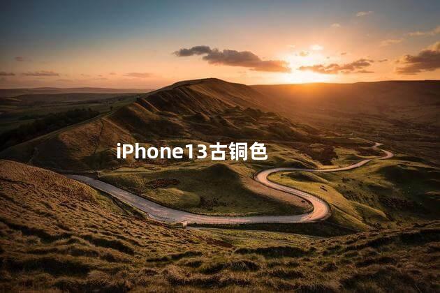 iPhone13古铜色