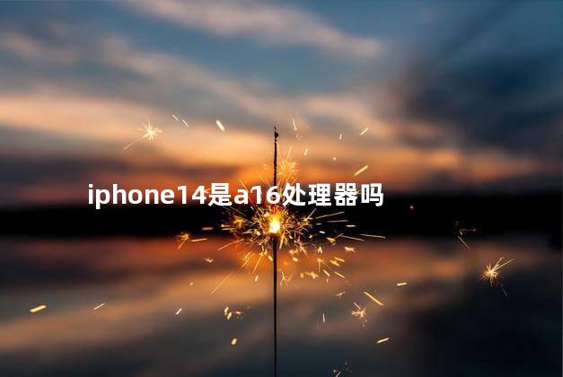 iphone14是a16处理器吗