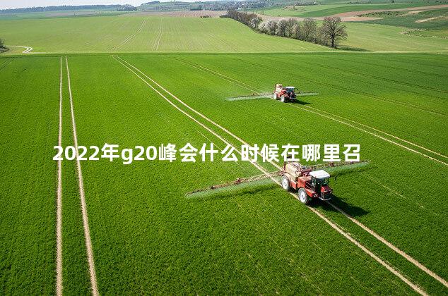 2022年g20峰会什么时候在哪里召开