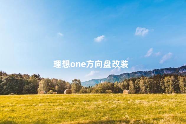 理想one方向盘改装