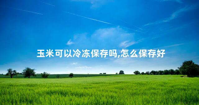 玉米可以冷冻保存吗,怎么保存好