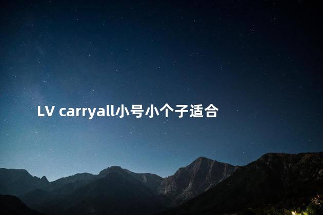 LV carryall小号小个子适合吗