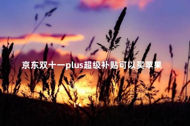 京东双十一plus超级补贴可以买苹果吗