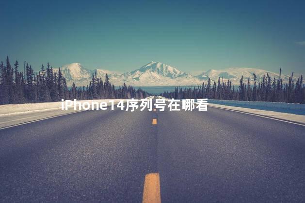 iPhone14序列号在哪看