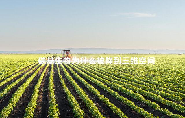 碳基生物为什么被降到三维空间