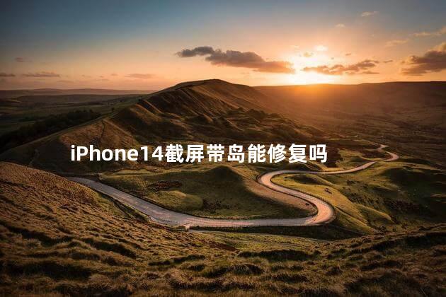 iPhone14截屏带岛能修复吗