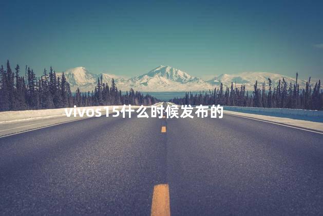 vivos15什么时候发布的