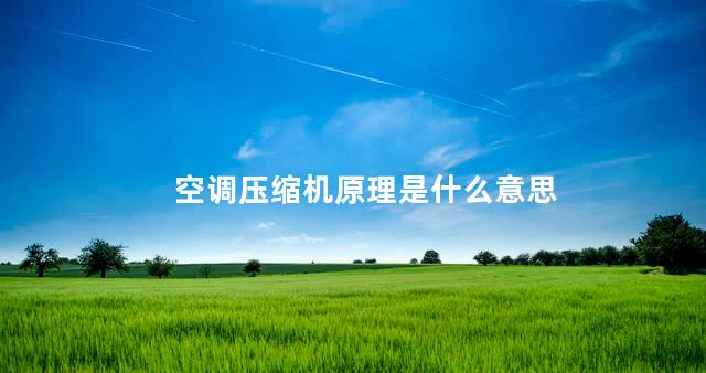 空调压缩机原理是什么意思