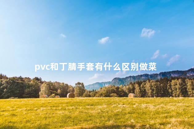 pvc和丁腈手套有什么区别做菜