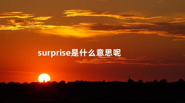 surprise是什么意思呢