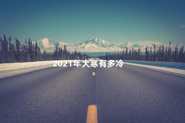 2021年大寒有多冷