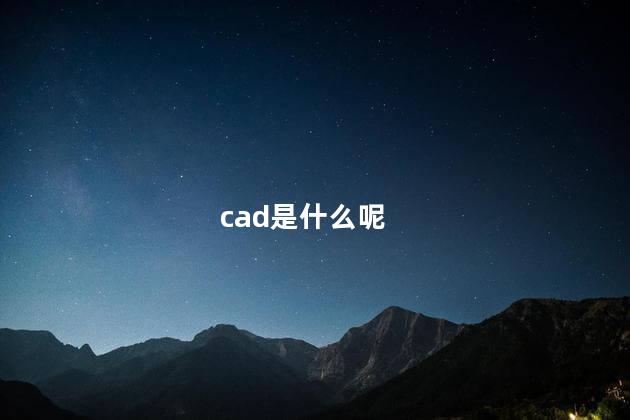 cad是什么呢