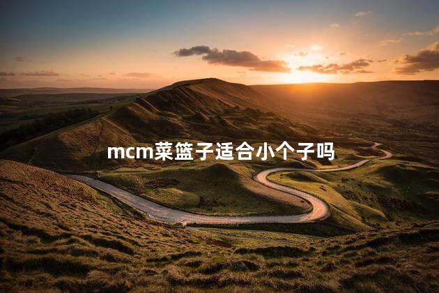 mcm菜篮子适合小个子吗