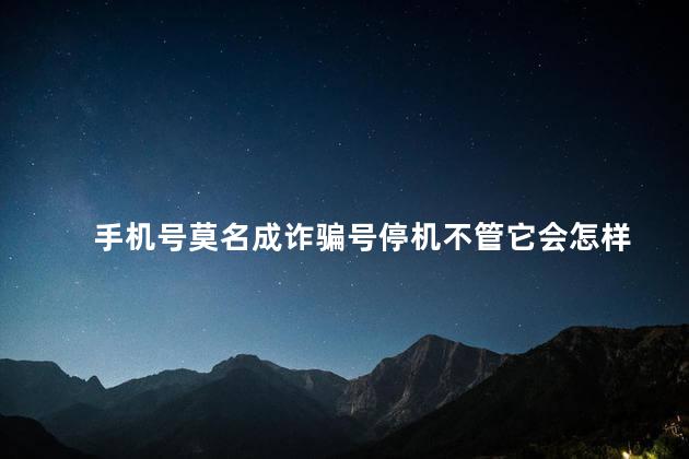 手机号莫名成诈骗号停机不管它会怎样