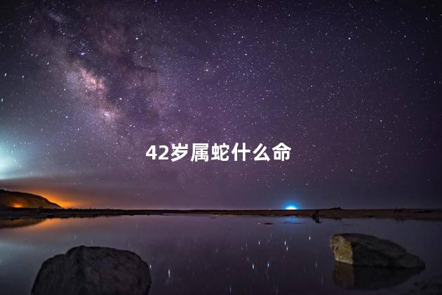 42岁属蛇什么命