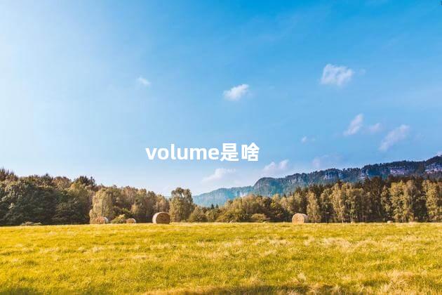 volume是啥