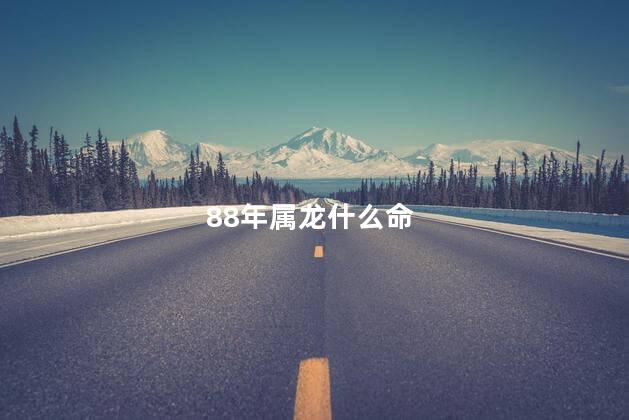 88年属龙什么命